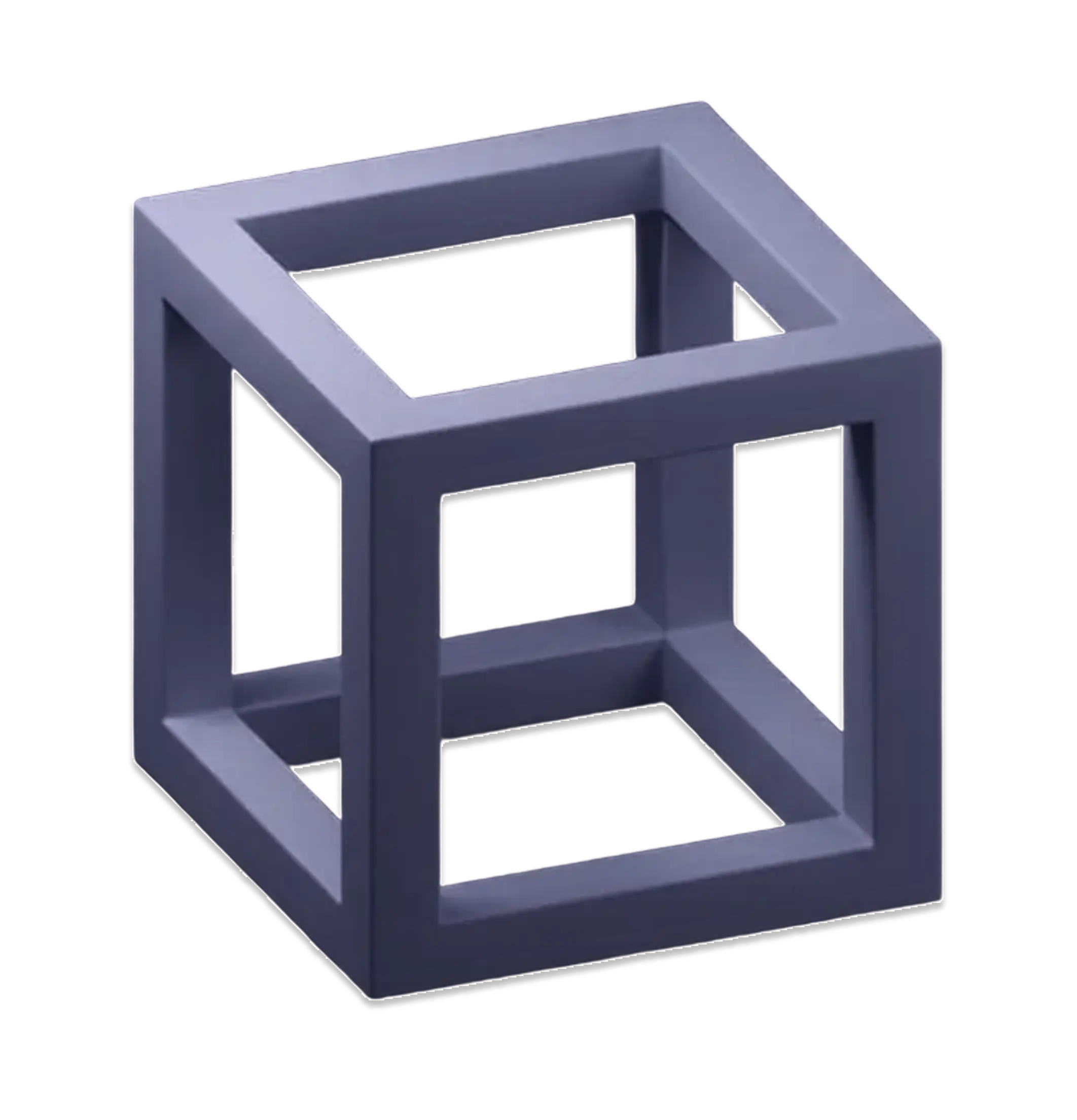 Web- & Software-Entwicklung